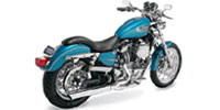 Sportster customized by Don Hotop 
