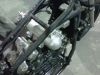 IMG00061-20101027-1650.jpg