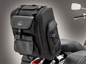 Sissy Bar mounted bags